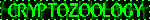 rabbitstamp1