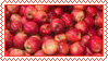 rabbitstamp1